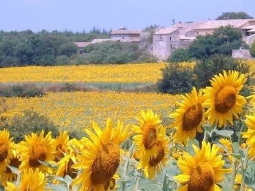 Les Libellules Du Gard - La Petite Maison Des 2 Gar�ons