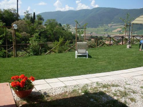 Il Vigneto