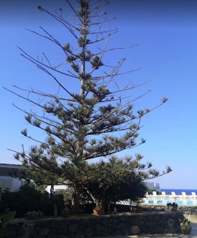 Mursia E Cossyra Hotel