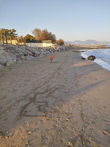 Apartamento Struttura Con Accesso Diretto In Spiaggia
