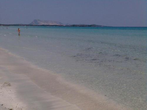 Apartamento Casa Lea - Alle Tre Querce