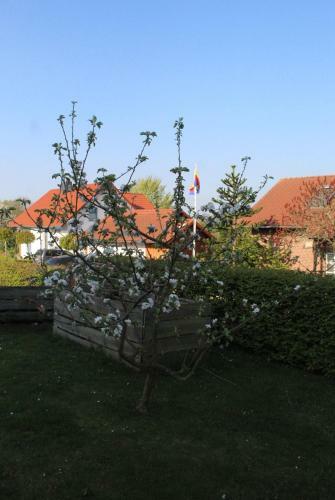 Apartamento Ferienwohnung H�rting�s Hygge, 24 Std. Check-in