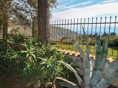 Villa Locazione Turistica Corbezzolo