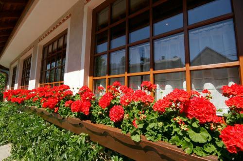 Hotel Villa Monica