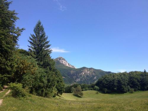 Apartamento Green Valley