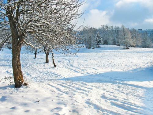 Chalet Deux Tetes I