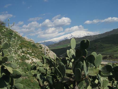 Agroturismo Lo Scudiero Di San Teodoro