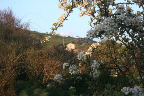 Agroturismo Lo Scudiero Di San Teodoro