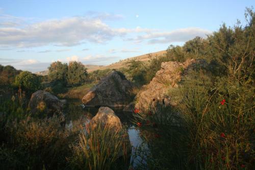Agroturismo Lo Scudiero Di San Teodoro