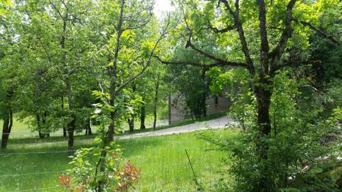Bed & Breakfast Lumin�sens