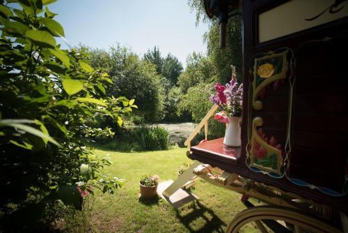 Lazy Bear Hideaway-qu7572