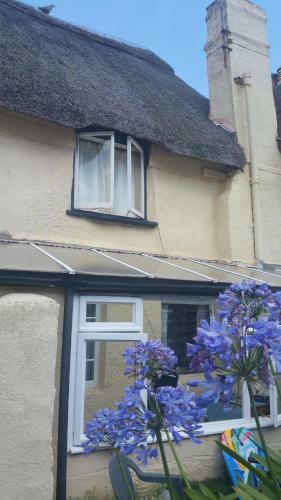 Dolphin Cottage
