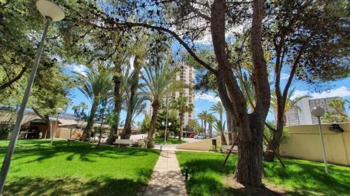Apartamento Primera L�nea Pau 5 - Playa de San Juan