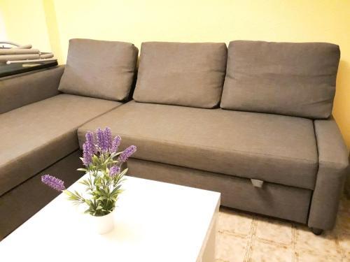 Villas Cosette Apartamento Rancho Suizo 8 1 1