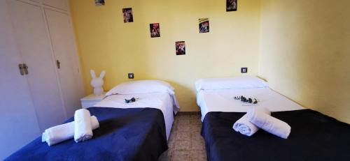 Villas Cosette Apartamento Rancho Suizo 8 1 1