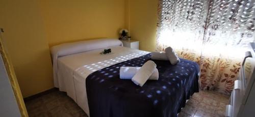 Villas Cosette Apartamento Rancho Suizo 8 1 1