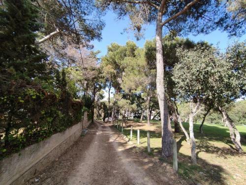 Apartment For Rent In Playa de Aro, 500 M From The Beach