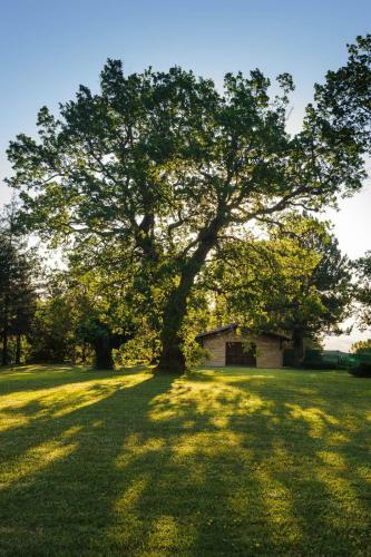Bed & Breakfast Convento Di San Francesco Mondaino