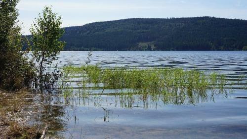 Apartamento Ferienwohnung, Schluchsee, Hochschwarzwald