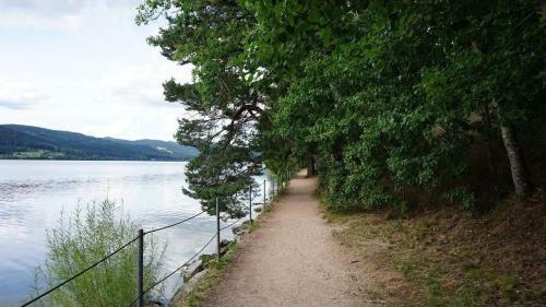 Apartamento Ferienwohnung, Schluchsee, Hochschwarzwald
