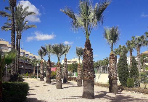 Two Bedroom Seafront Apartment