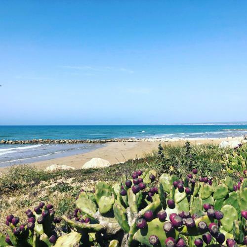South Sicily Beach
