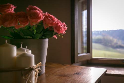 Il Vignolino Bed And Breakfast
