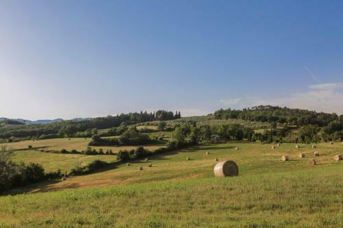 Il Vignolino Bed And Breakfast