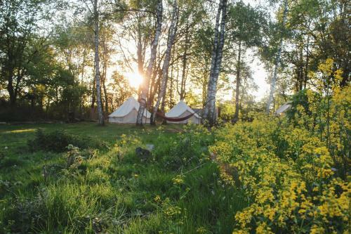 Glampingzelt Dachsburg