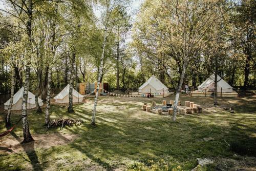 Glampingzelt Dachsburg