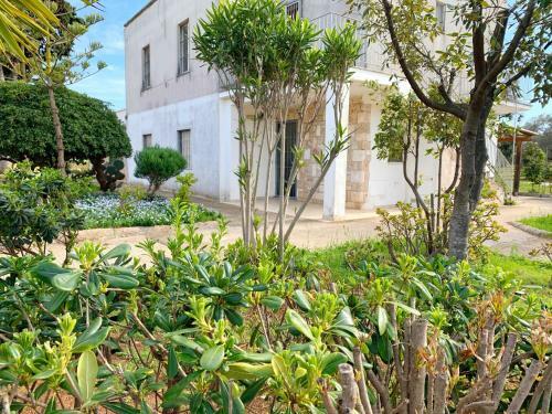 Apartamento La Perla Del Borgo By Apulianbnv