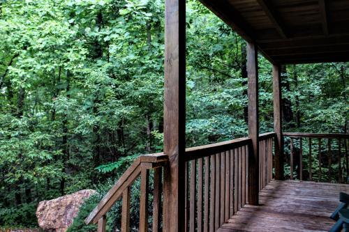 Black Bear Lodge