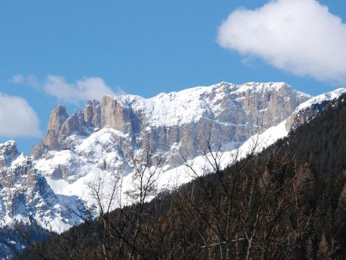 Apartment Campitello Di Fassa Trentino 3