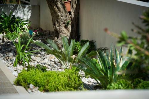 Bed & Breakfast Al Cantuccio