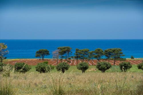 Bed & Breakfast Al Cantuccio
