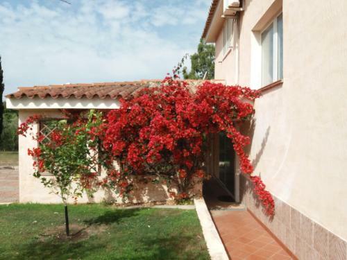 Bed & Breakfast Villa Li Cuponi