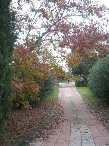 Bed & Breakfast Villa Li Cuponi
