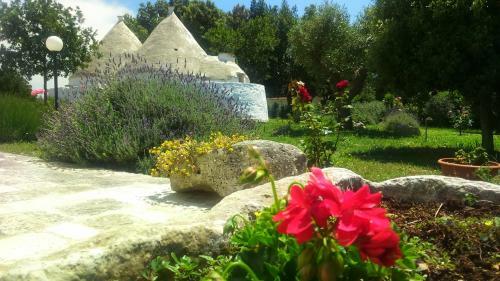 Agroturismo Agriturismo Masseria Casedde Vecchie