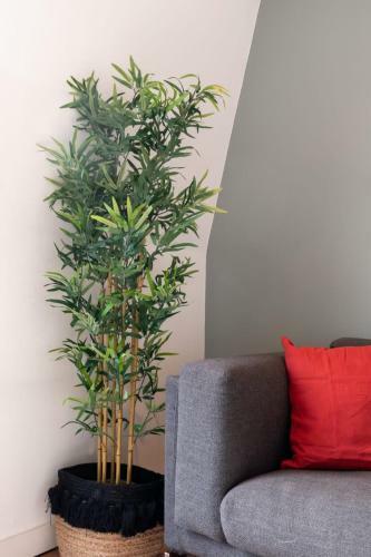 Marcq En Baroeul - Superb Bright And Cozy Apartment