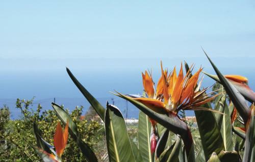 Holiday Home Camino Los Pinos N-564