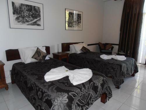 Daintree Wild Bed & Breakfast