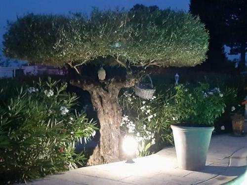 La Cabane De Mes R�ves