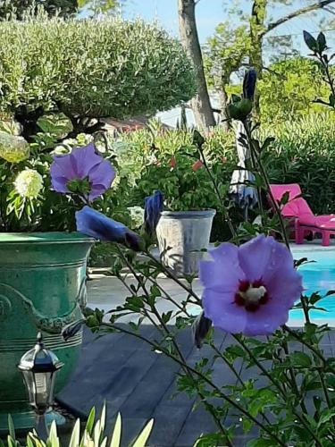La Cabane De Mes R�ves