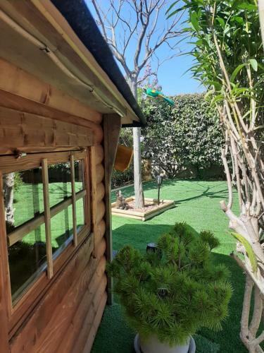 La Cabane De Mes R�ves