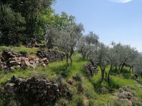 Bed & Breakfast Les Jardins Celestes