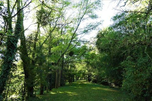 Apartamento Bus Cosy En Pleine Nature