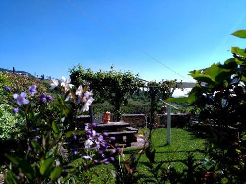 Bed & Breakfast Antica Corte Panego