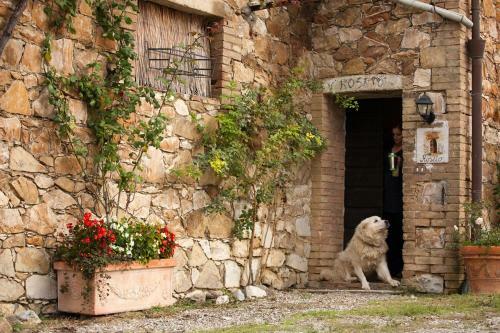 Agroturismo Agriturismo Casa Colsereno