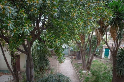 Apartamento Charmant Studio Sur Pont Du Las Proche Toulon Centre