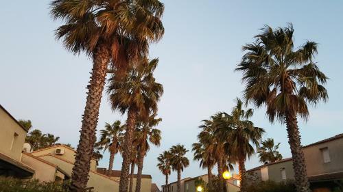 Les 5 Palmiers